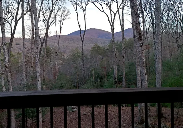 $1,384,000 | 306 Native Trail, Cherry Log, GA 30522