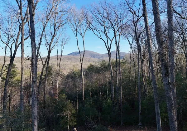 $1,384,000 | 306 Native Trail, Cherry Log, GA 30522