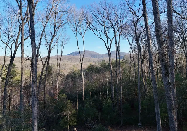 $1,384,000 | 306 Native Trail, Cherry Log, GA 30522