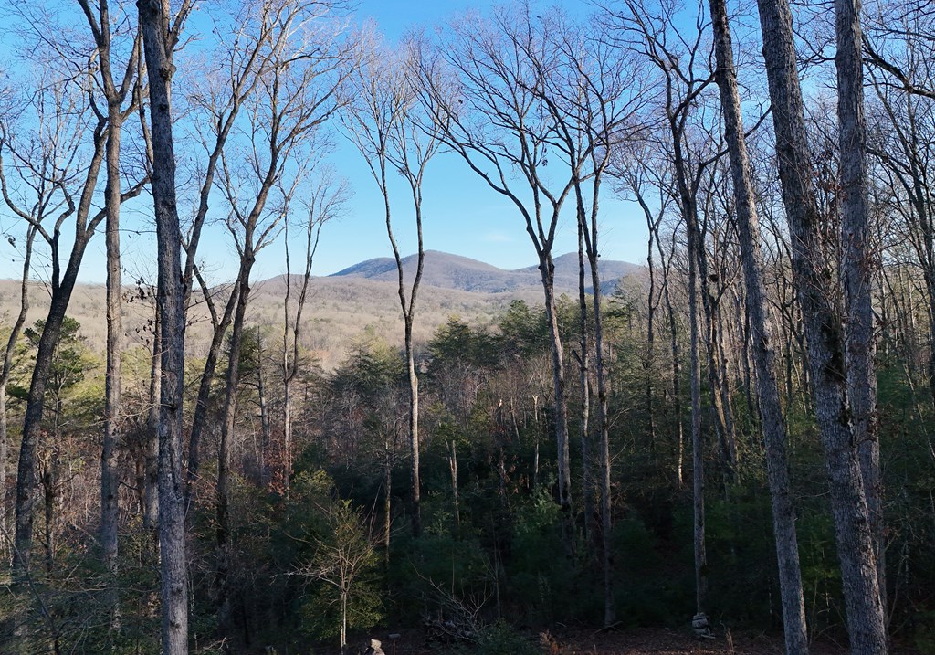 306 Native Trail Cherry Log, GA 30522 - Photo 17 of 65