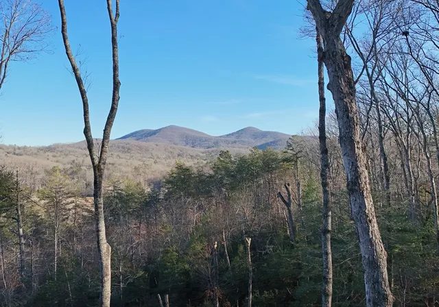 $1,384,000 | 306 Native Trail, Cherry Log, GA 30522