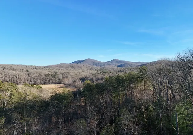 $1,384,000 | 306 Native Trail, Cherry Log, GA 30522