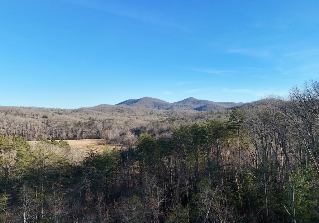 306 Native Trail Cherry Log, GA 30522 - Photo 19 of 65