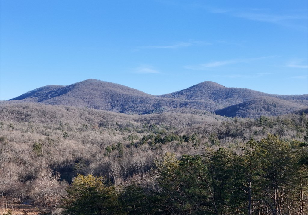 306 Native Trail Cherry Log, GA 30522 - Photo 20 of 65 a view of a lush green field with mountains in the background