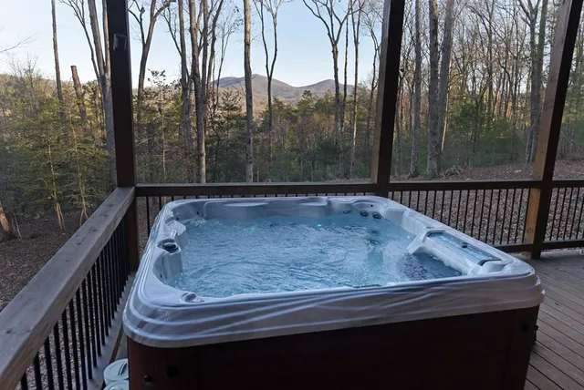 $1,384,000 | 306 Native Trail, Cherry Log, GA 30522