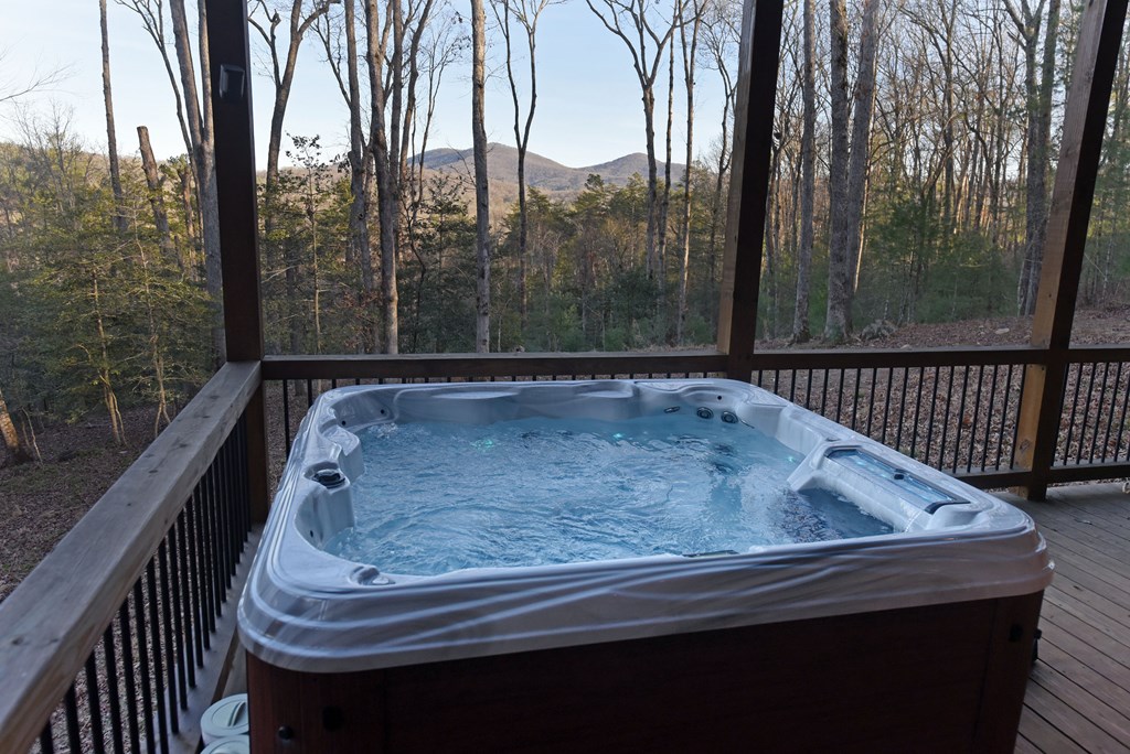 306 Native Trail Cherry Log, GA 30522 - Photo 62 of 65 a view of outdoor space with seating