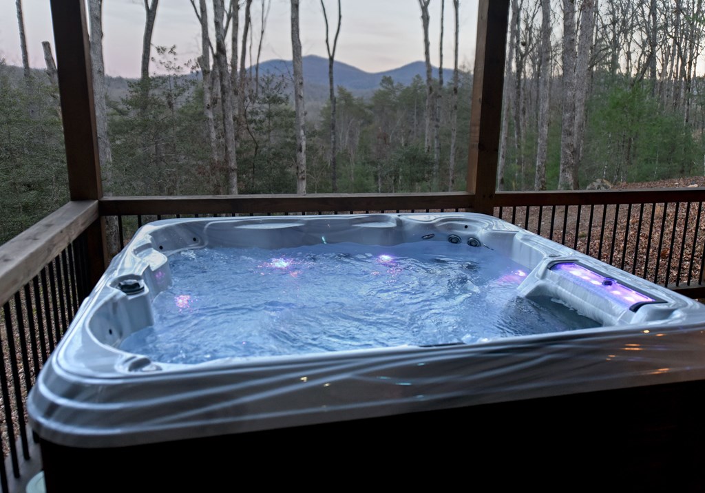 306 Native Trail Cherry Log, GA 30522 - Photo 63 of 65 a view of swimming pool from a balcony