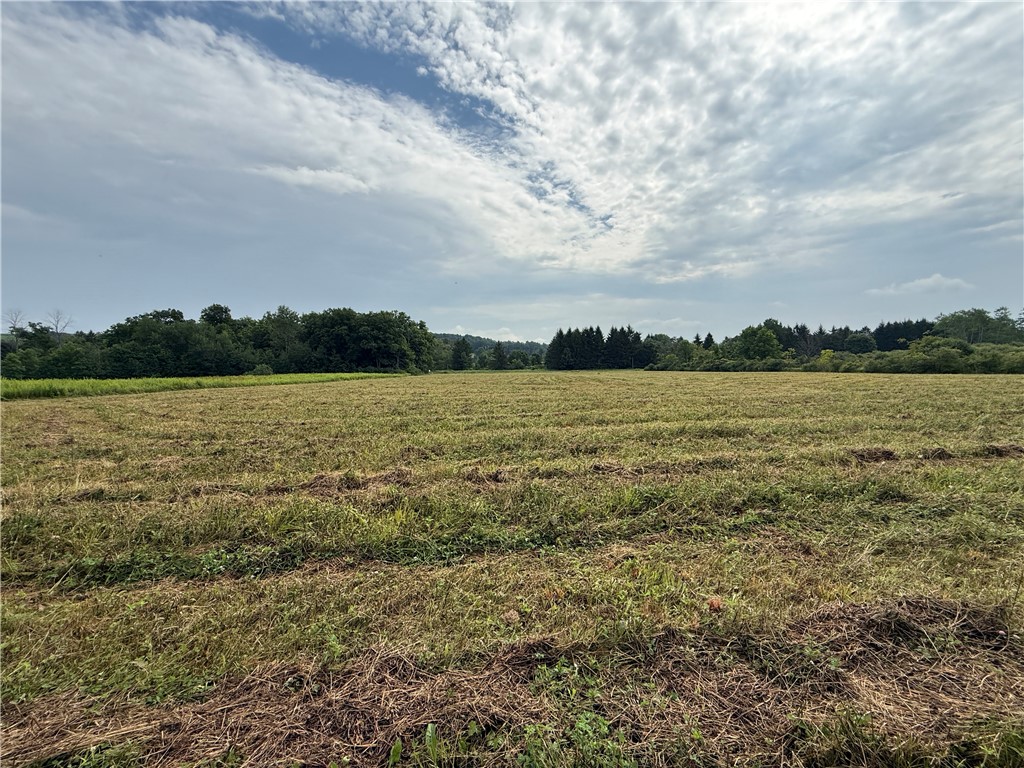 Halseyville Road Ithaca, NY 14850 - Photo 15 of 29 Gallery Image 15