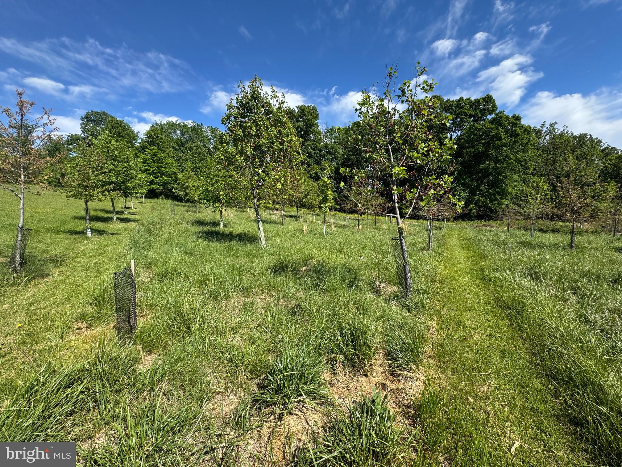 15491 Barnesville Road Boyds, MD 20841 - Photo 6 of 18 a backyard of a house with lots of green space and garden