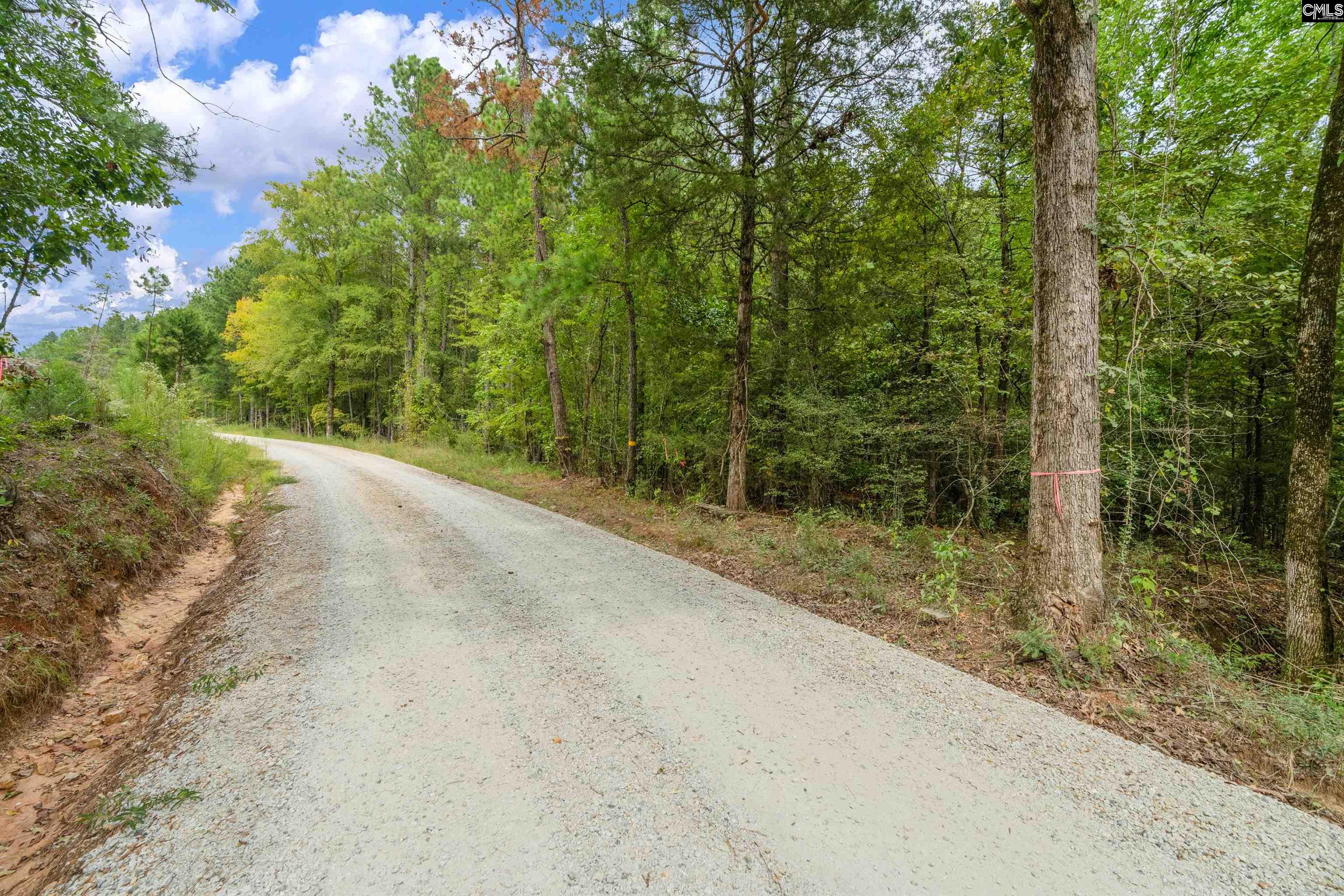 0 Penner Road, Unit 10 Jenkinsville, SC 29065 - Photo 7 of 43