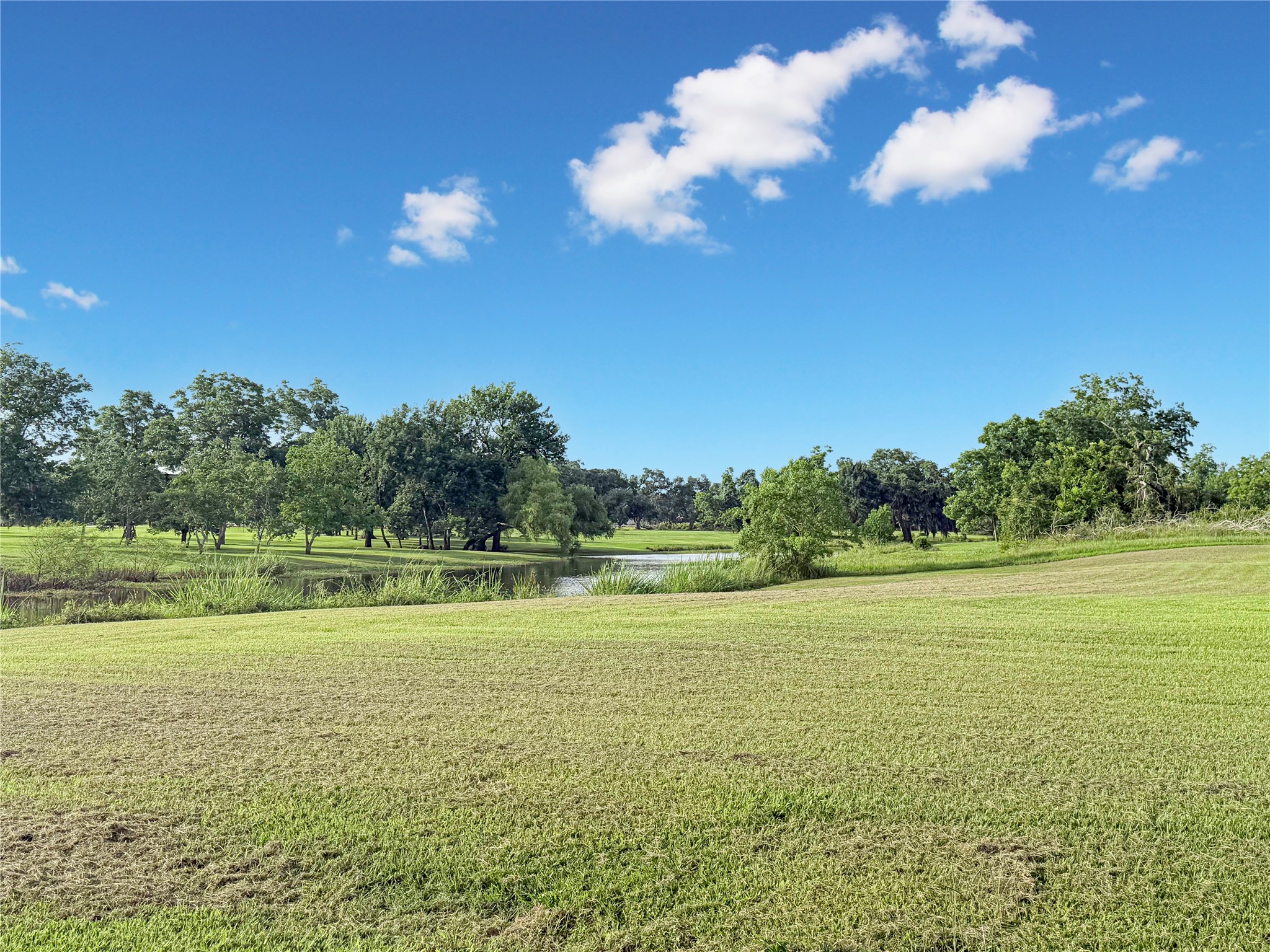 807 Mill Road Angleton, TX 77515 - Photo 46 of 46 Shaded by a majestic live oak, the backyard offers comfort, beauty, and peaceful outdoor living.