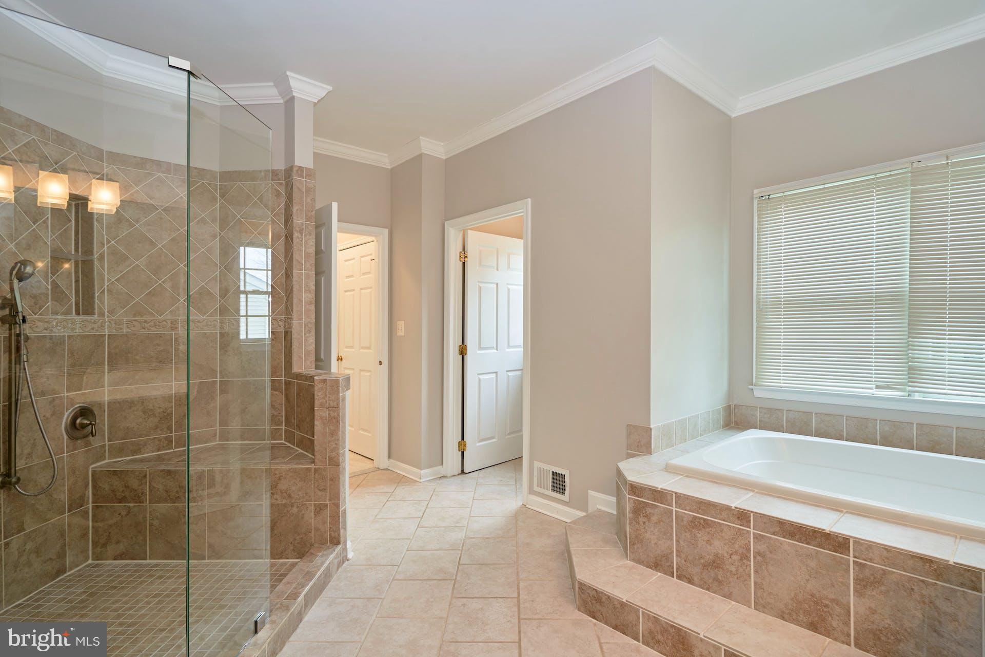 1303 Aldbury Way Reston, VA 20194 - Photo 13 of 62 Primary Bath Walk-in Shower
