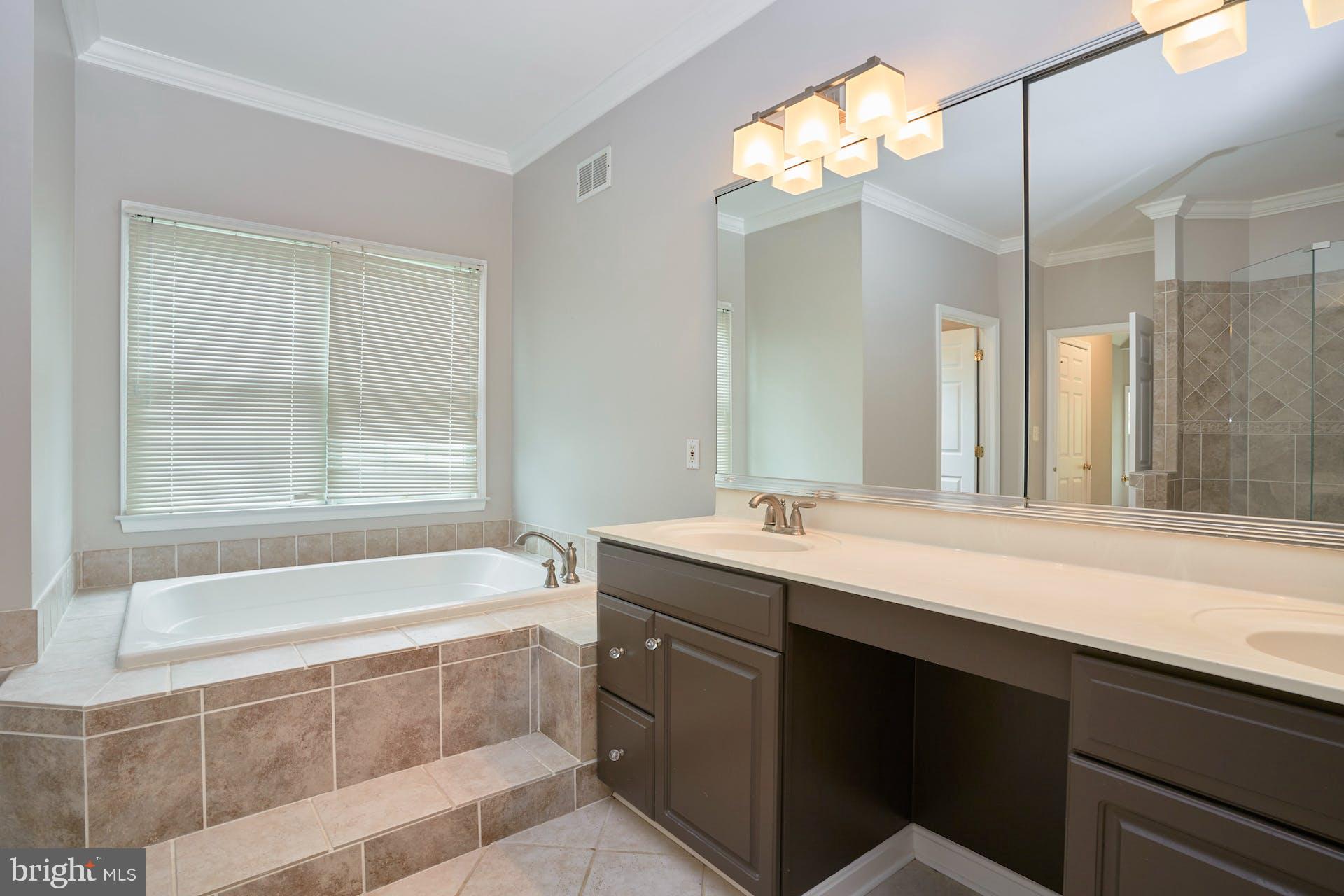 1303 Aldbury Way Reston, VA 20194 - Photo 14 of 62 Primary Bath Soaking Tub