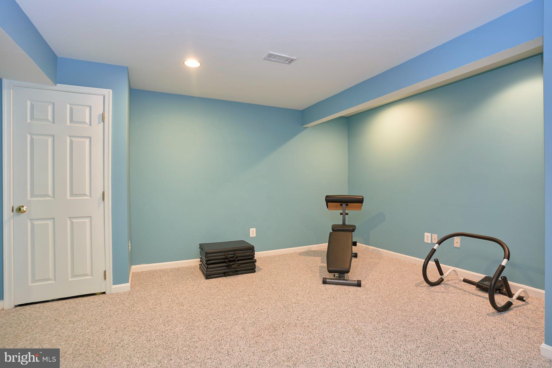 1303 Aldbury Way Reston, VA 20194 - Photo 30 of 62 Lower Level Den