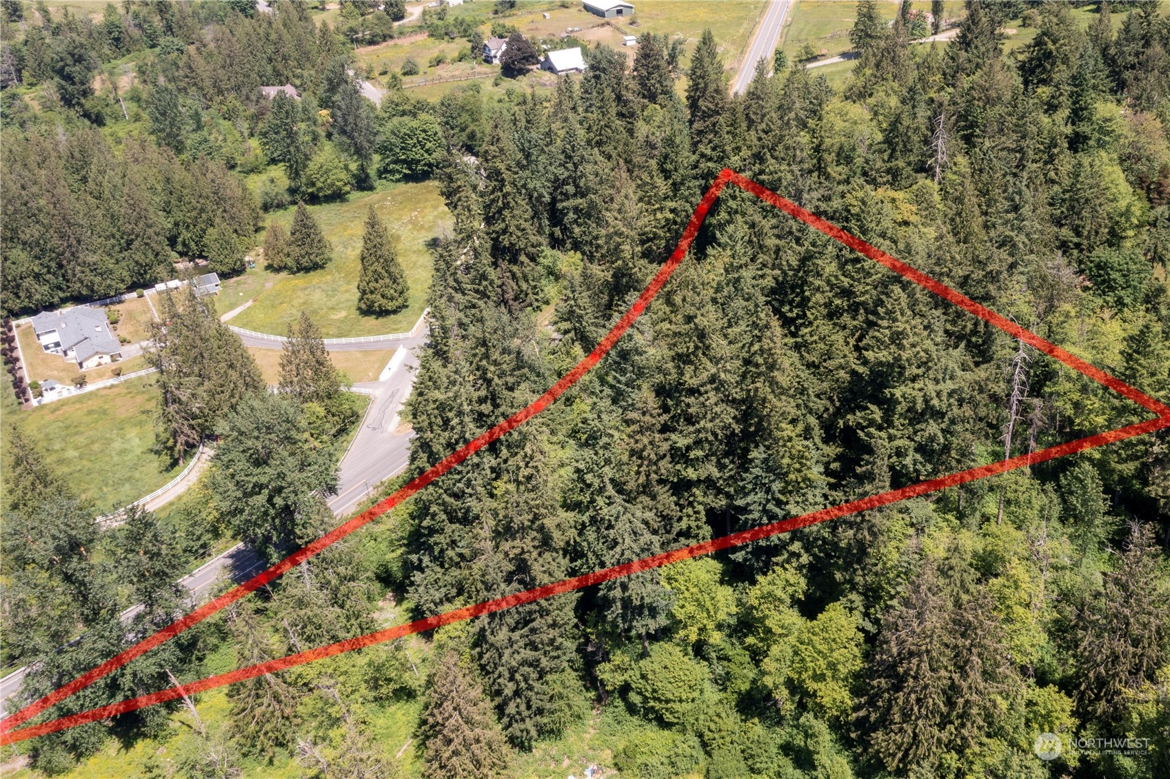 a picture of flowers