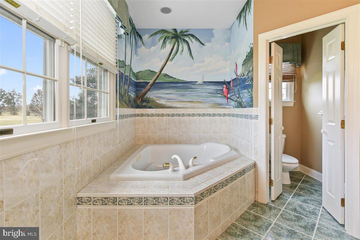 3357 Redden Ferry Road Eden, MD 21822 - Photo 42 of 107 Jetted Tub