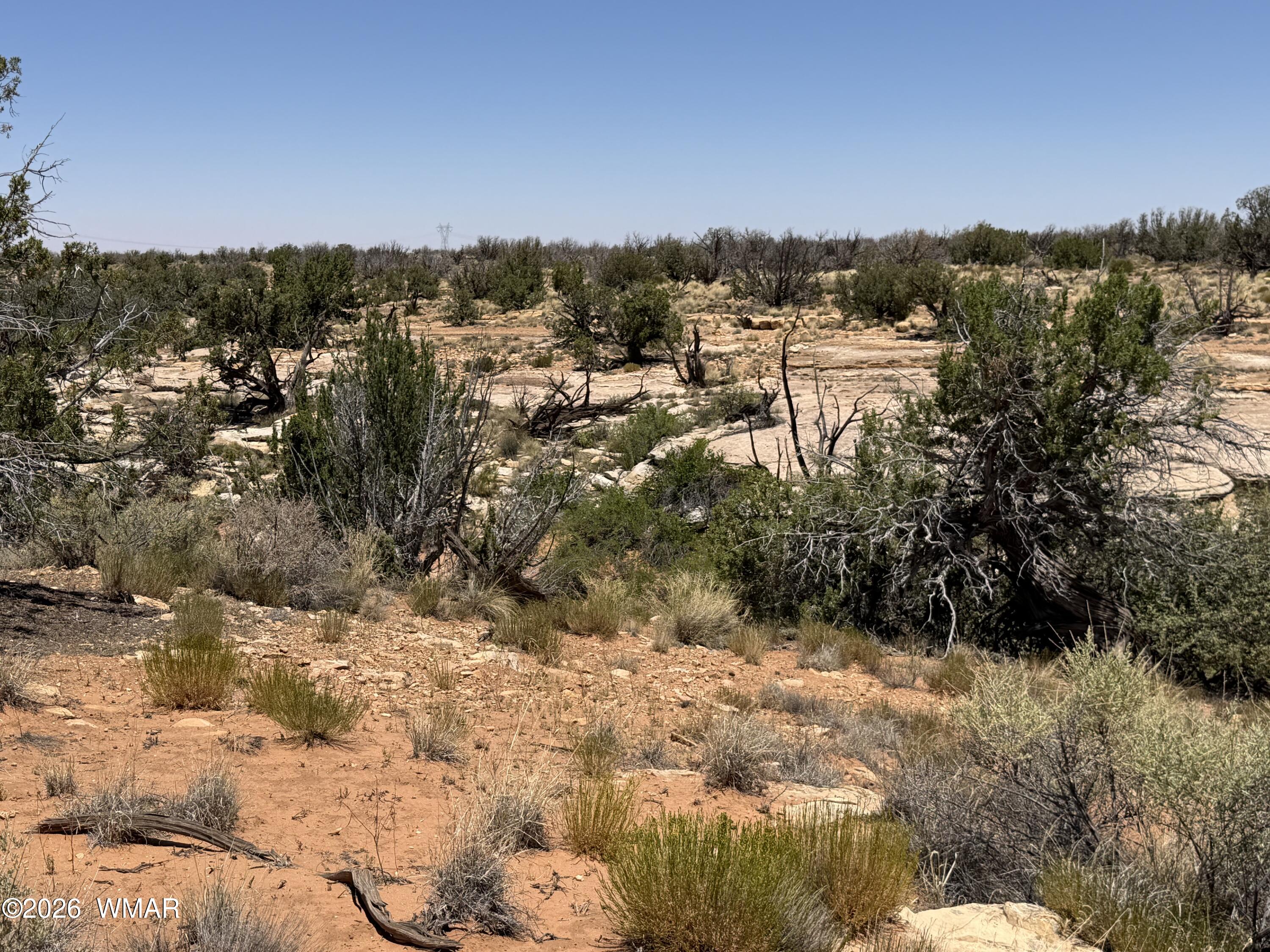 Lot 276 Chev Canyon Ranch, Unit 3 Overgaard, AZ 85933 - Photo 14 of 18