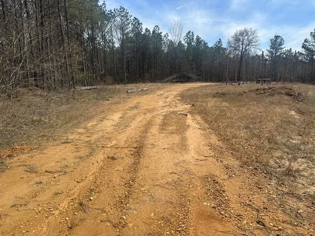 $49,900 | 0 Fisher Lane, Shiloh, TN 38376