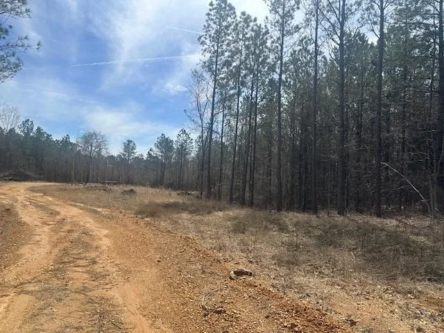 $49,900 | 0 Fisher Lane, Shiloh, TN 38376