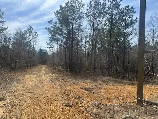 $49,900 | 0 Fisher Lane, Shiloh, TN 38376