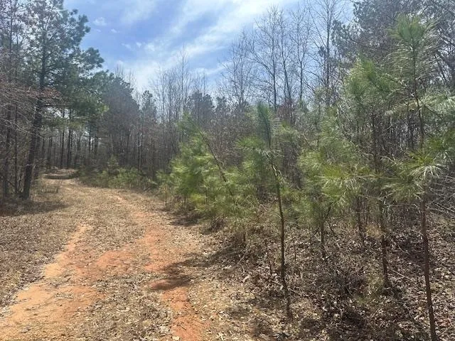 $49,900 | 0 Fisher Lane, Shiloh, TN 38376