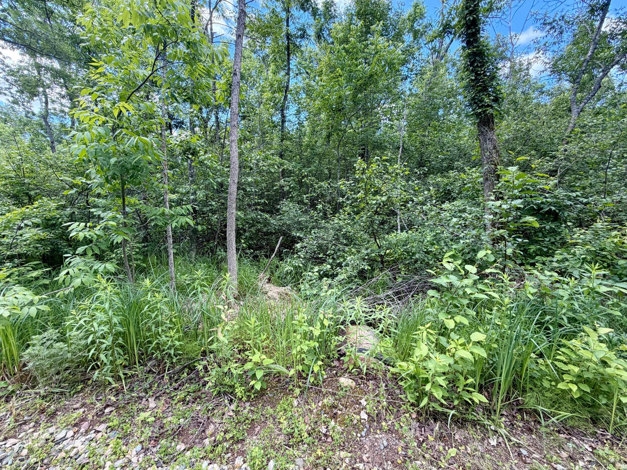27639 Gateway Road Garrison, MN 56450 - Photo 9 of 9
