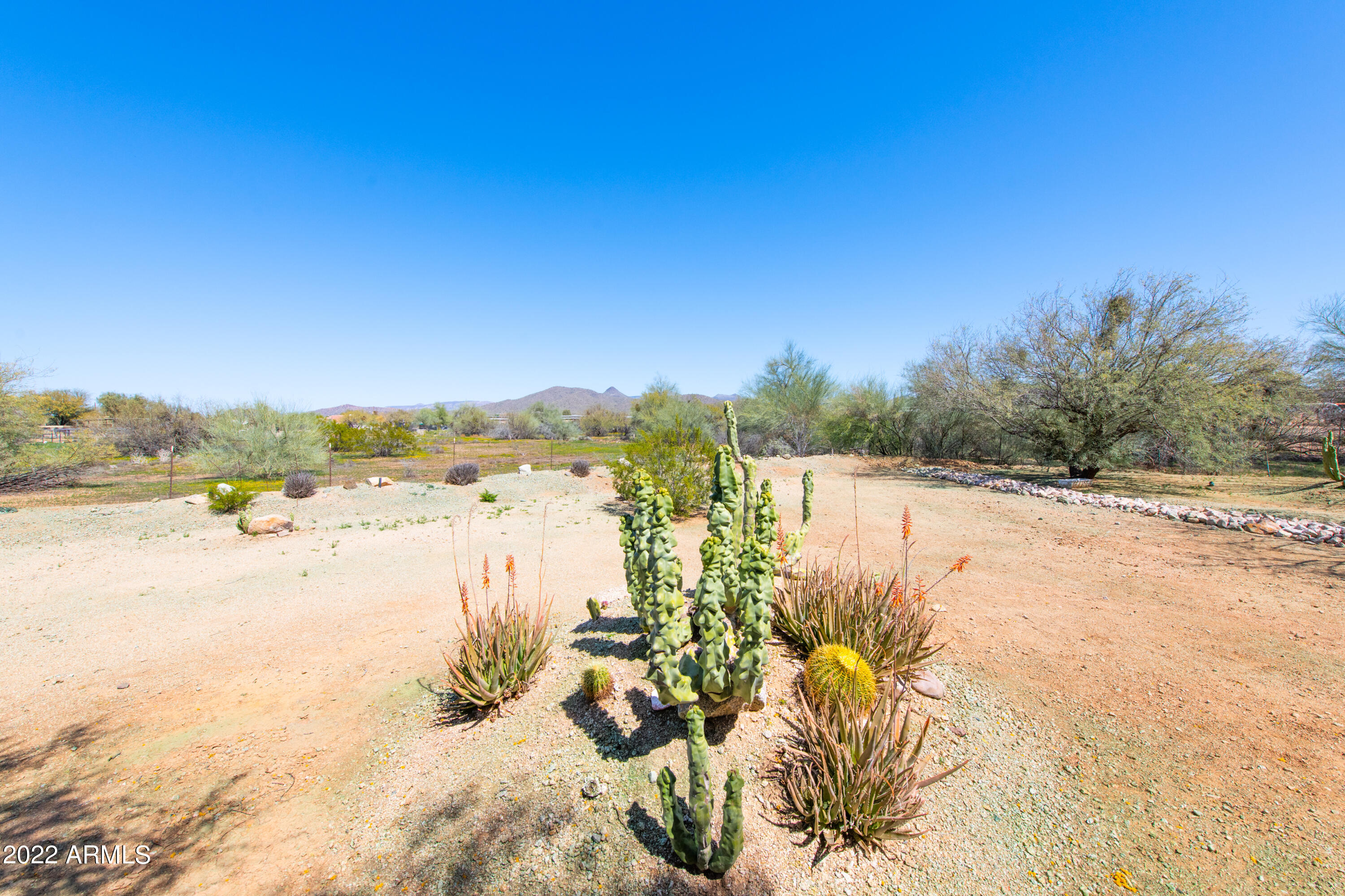 1024 East Maddock Road Phoenix, AZ 85086 - Photo 6 of 26 005_Backyard View