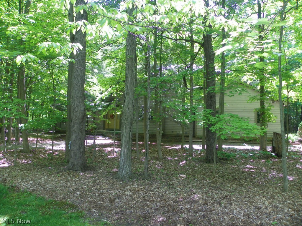 4780 Hamilton Road Medina, OH 44256 - Photo 23 of 25 Gallery Image 23