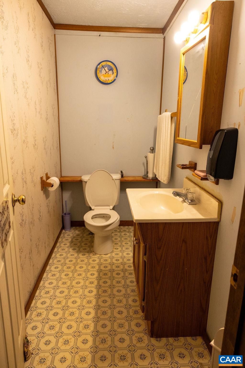 5705 Louisa Road Keswick, VA 22947 - Photo 18 of 19 a bathroom with a sink and a mirror