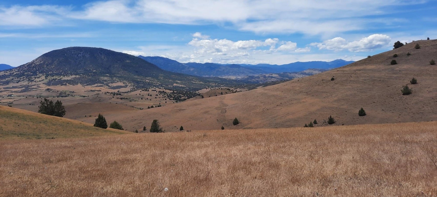York Road Montague, CA 96064 - Photo 16 of 24 Gallery Image 16