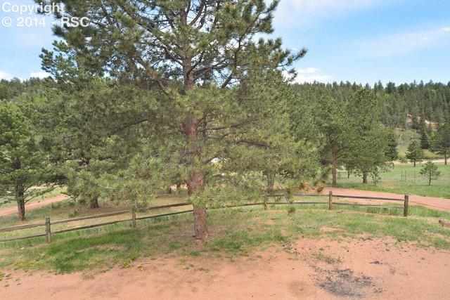 1819 Pathfinder Road Florissant, CO 80816 - Photo 18 of 19 Gallery Image 18