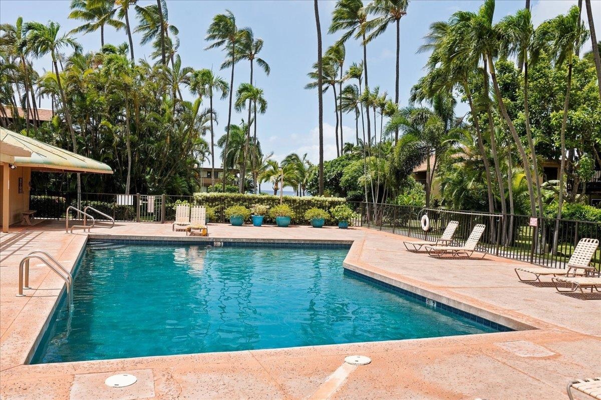 3559 Lower Honoapiilani Road, Unit 1D Lahaina, HI 96761 - Photo 27 of 36 Gallery Image 27
