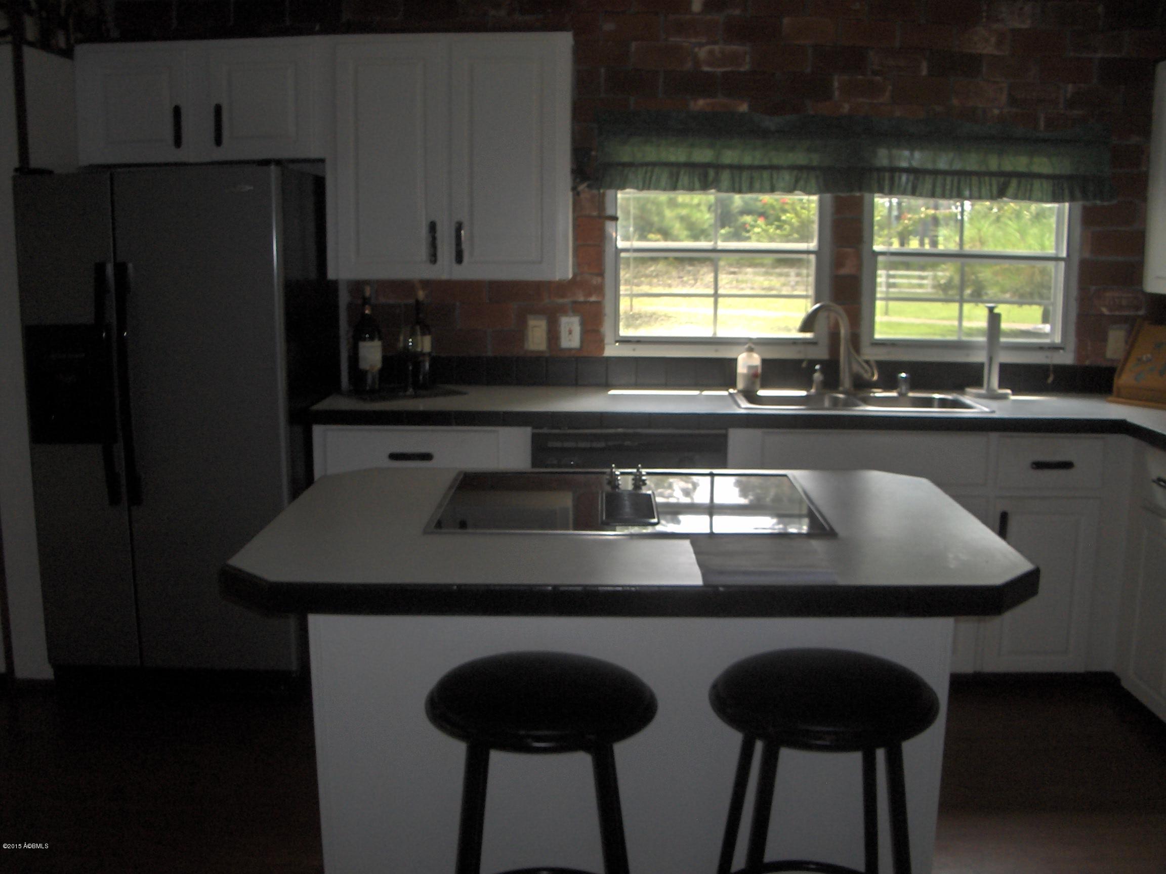 6080 2 Sisters Ferry Road Estill, SC 29918 - Photo 4 of 14 Baker,2 Sister ferry Rd 003
