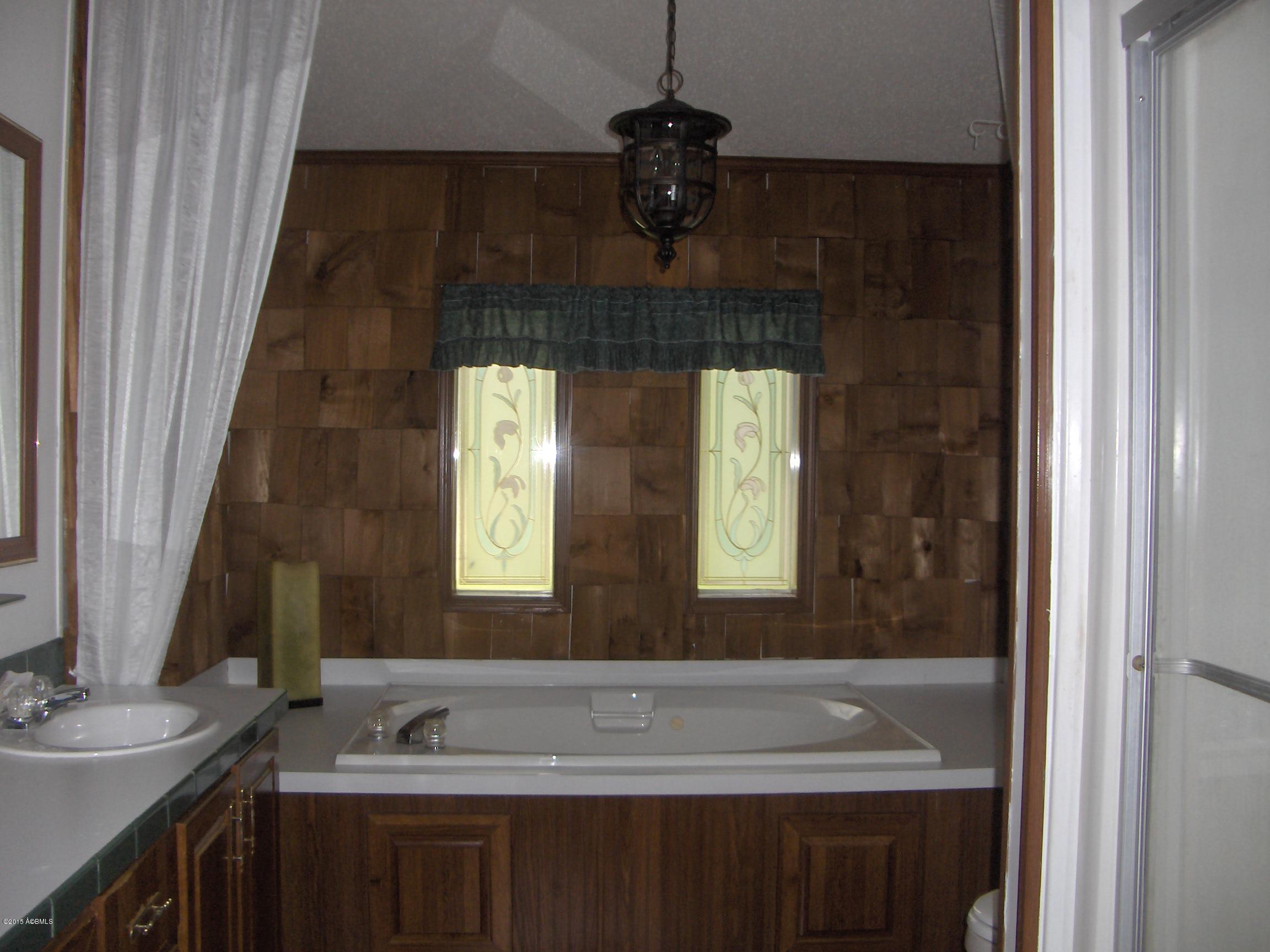 6080 2 Sisters Ferry Road Estill, SC 29918 - Photo 9 of 14 Baker,2 Sister ferry Rd 009
