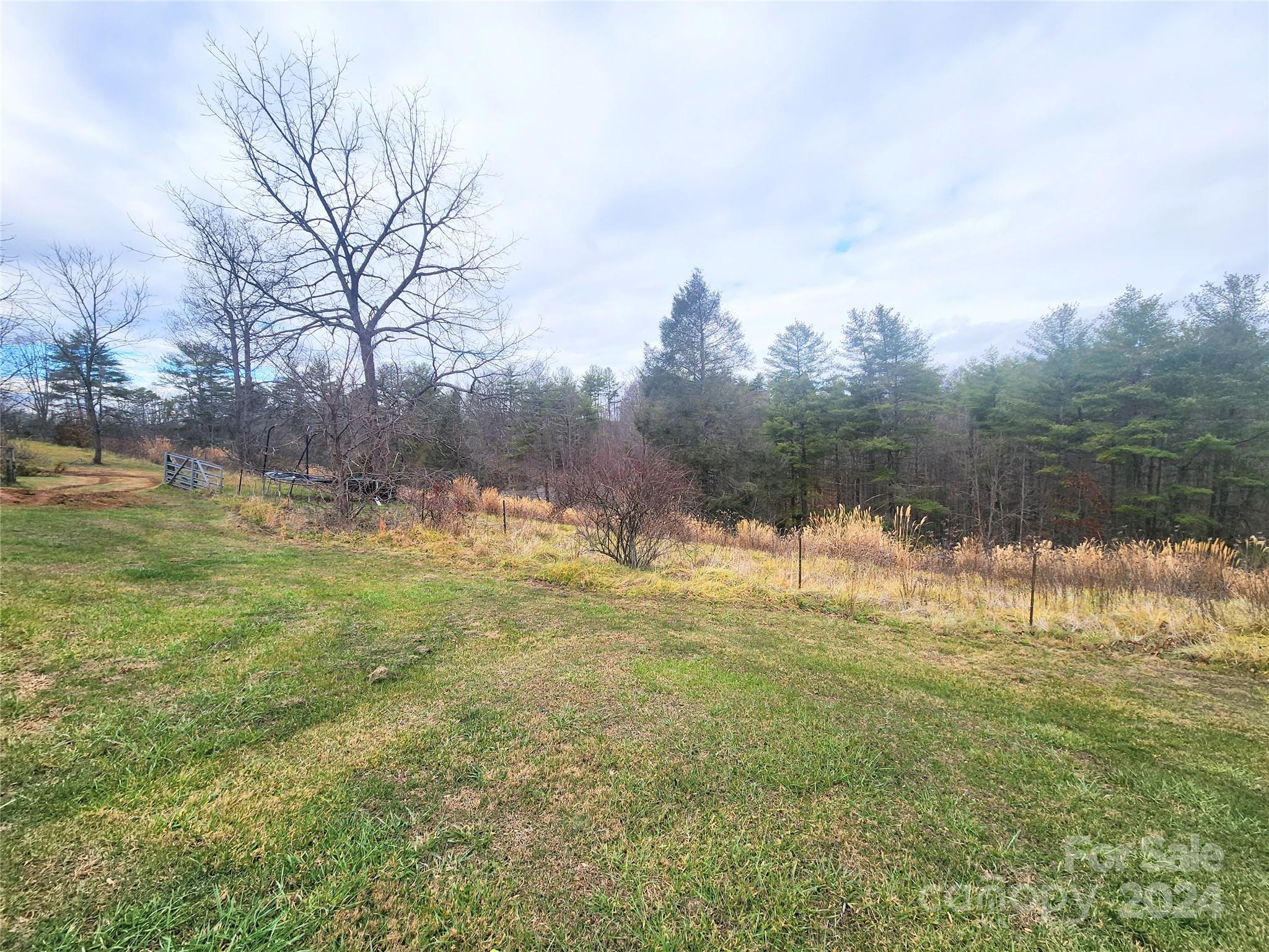 69 Locust Grove Road Weaverville, NC 28787 - Photo 14 of 20 Gallery Image 14