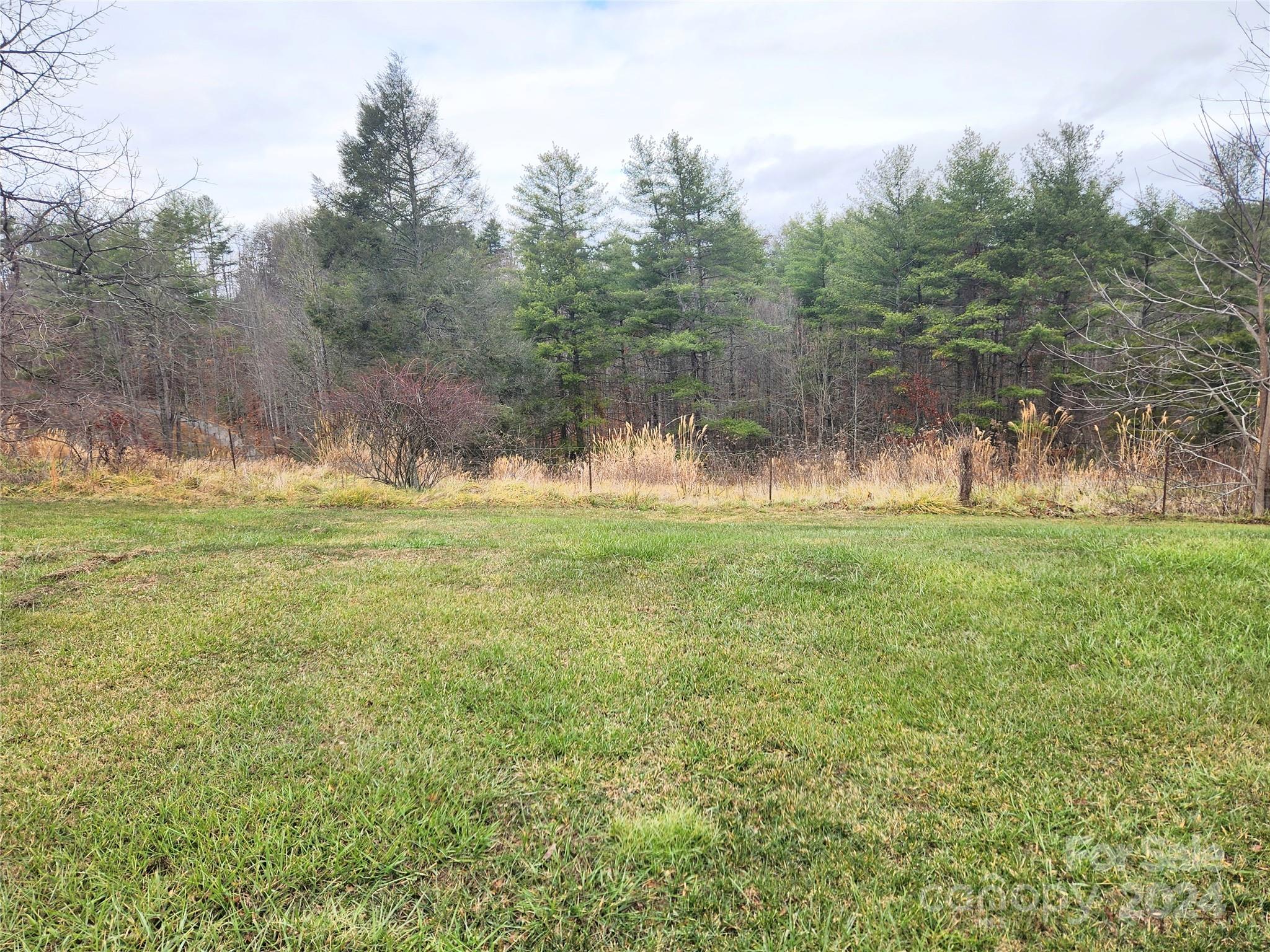 69 Locust Grove Road Weaverville, NC 28787 - Photo 16 of 20 Gallery Image 16