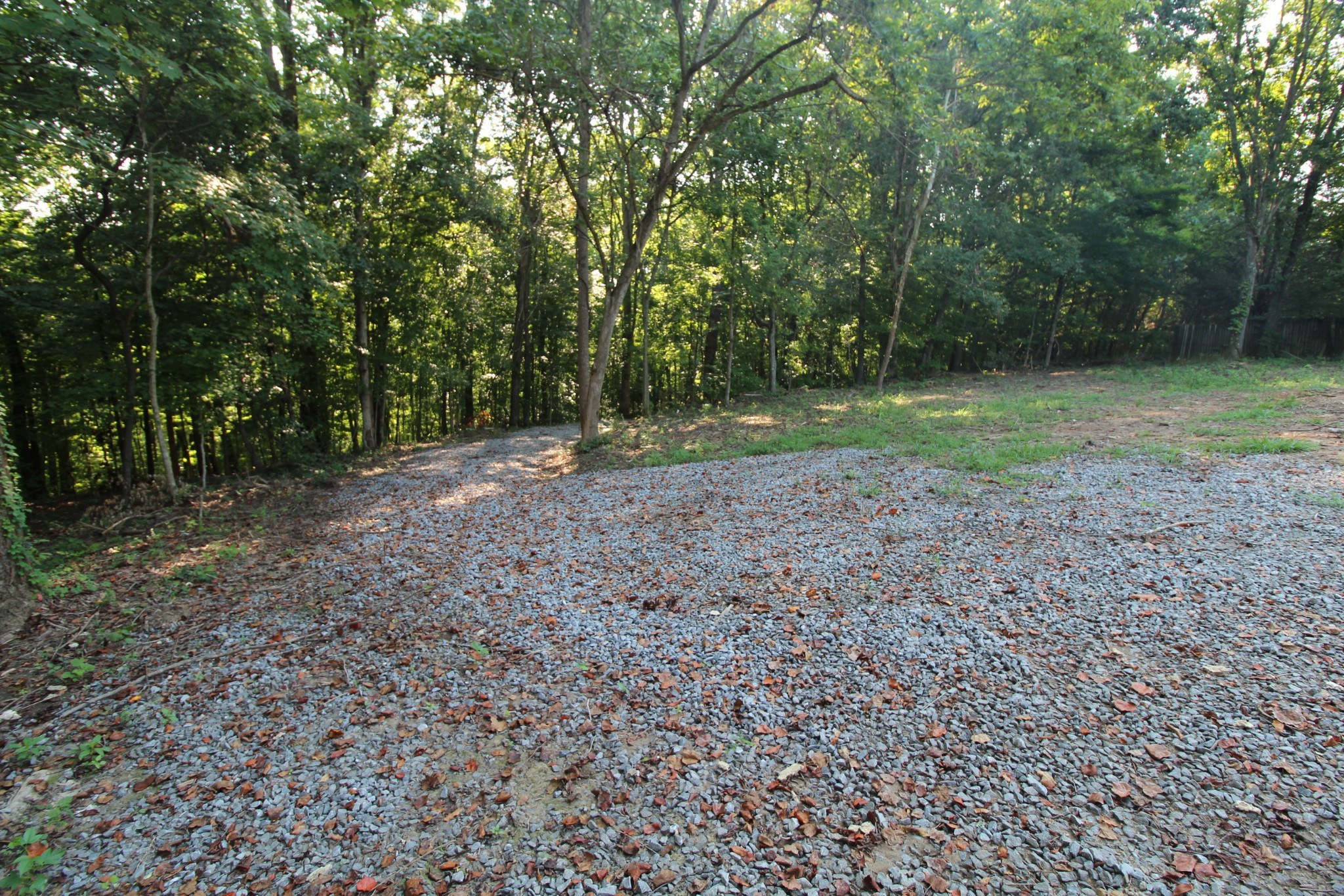 1 Bandy Road Ashland City, TN 37015 - Photo 11 of 84 a view of a forest with trees in the background
