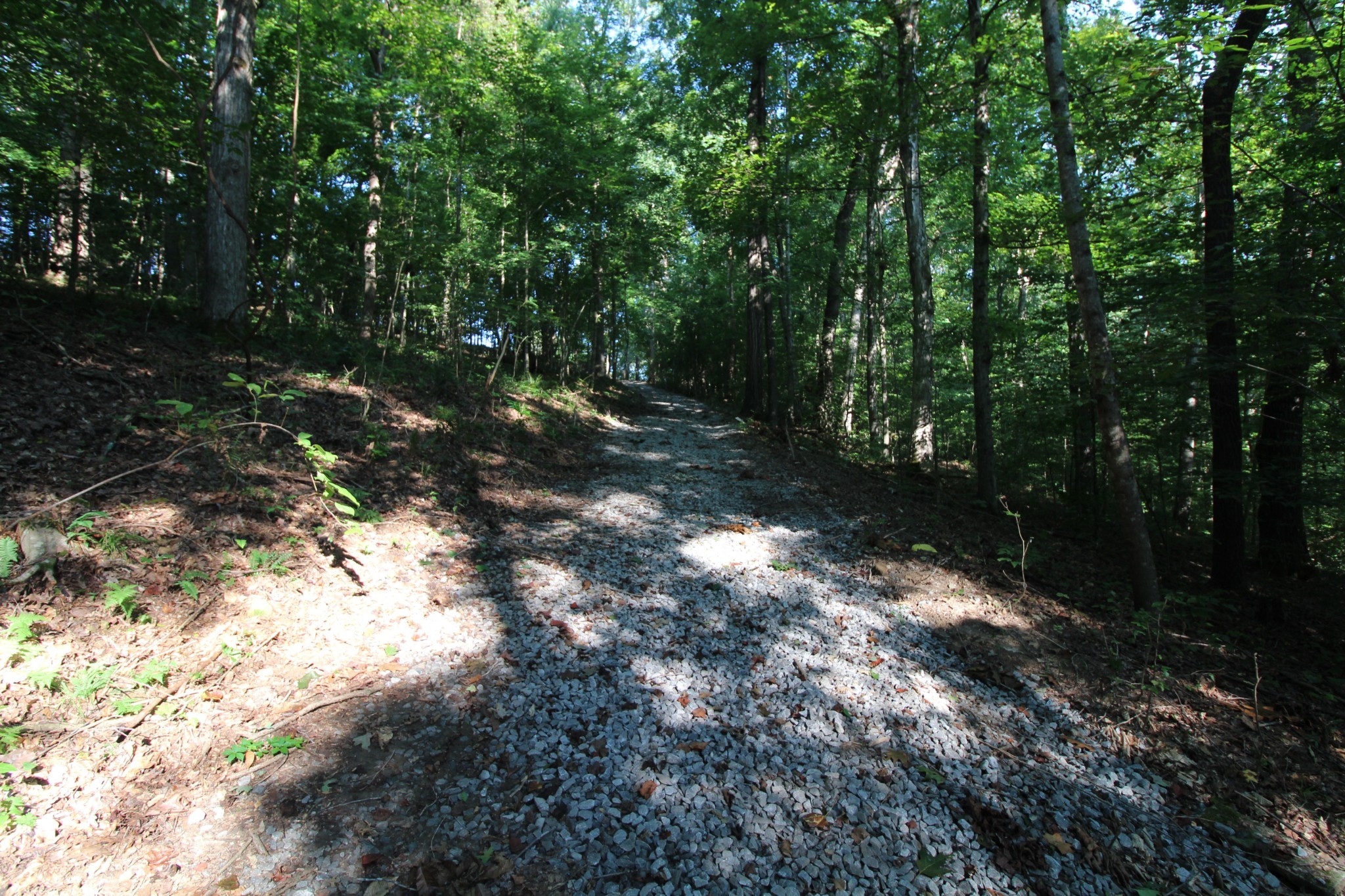 1 Bandy Road Ashland City, TN 37015 - Photo 13 of 84 a backyard of a house with lots of green space