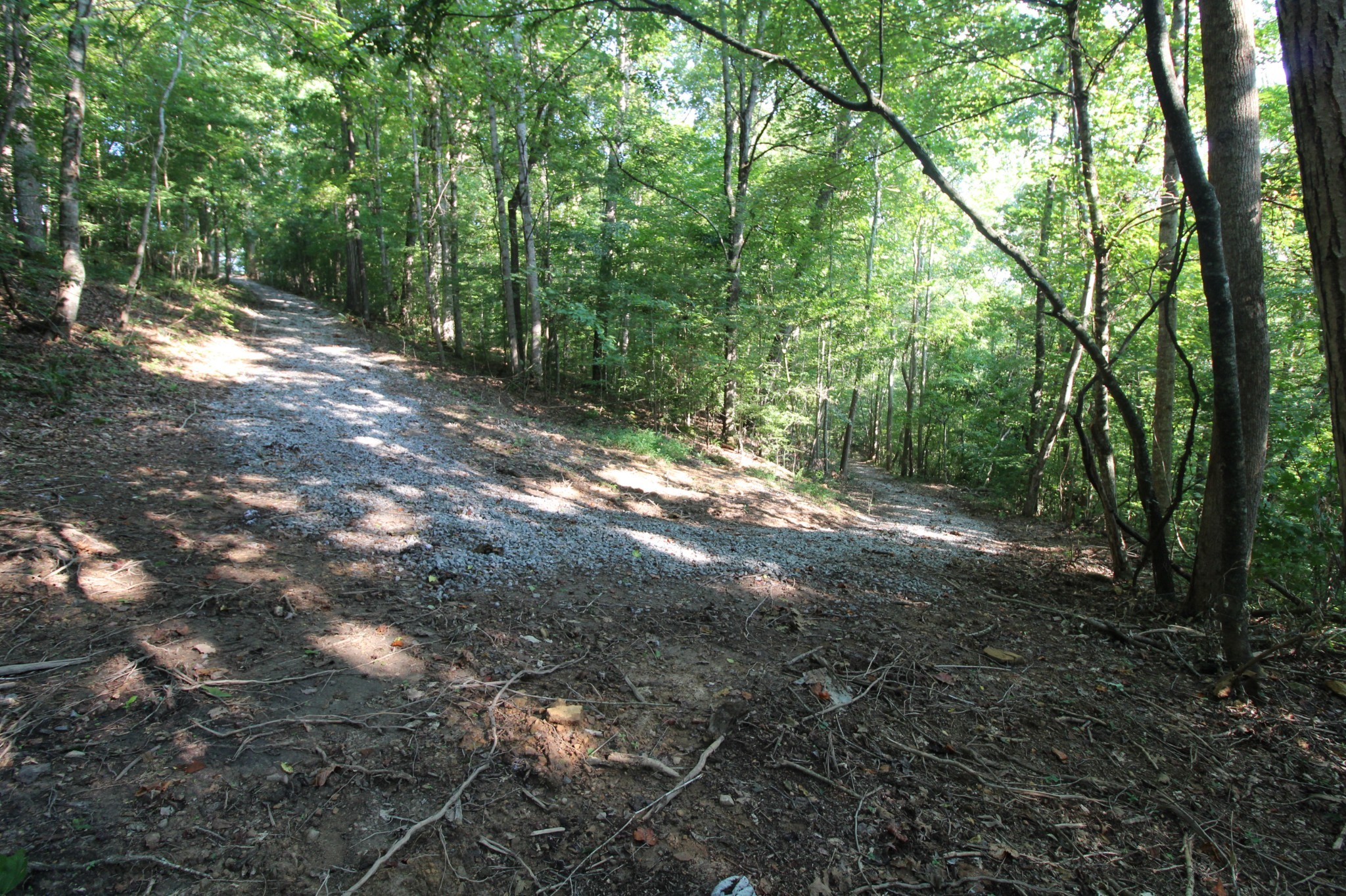 1 Bandy Road Ashland City, TN 37015 - Photo 14 of 84 a view of outdoor space and yard