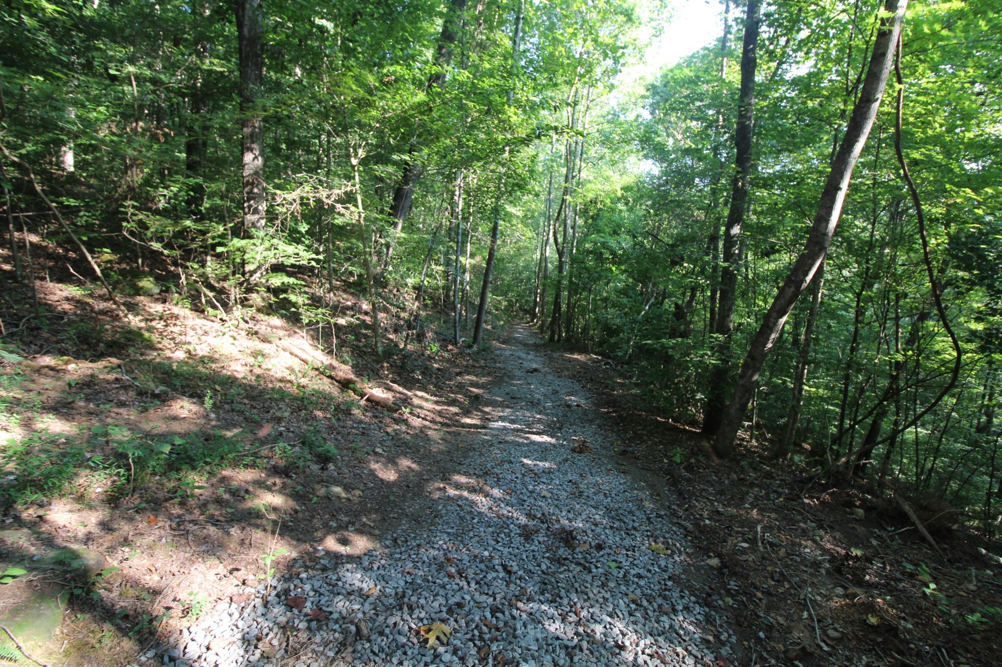 1 Bandy Road Ashland City, TN 37015 - Photo 15 of 84