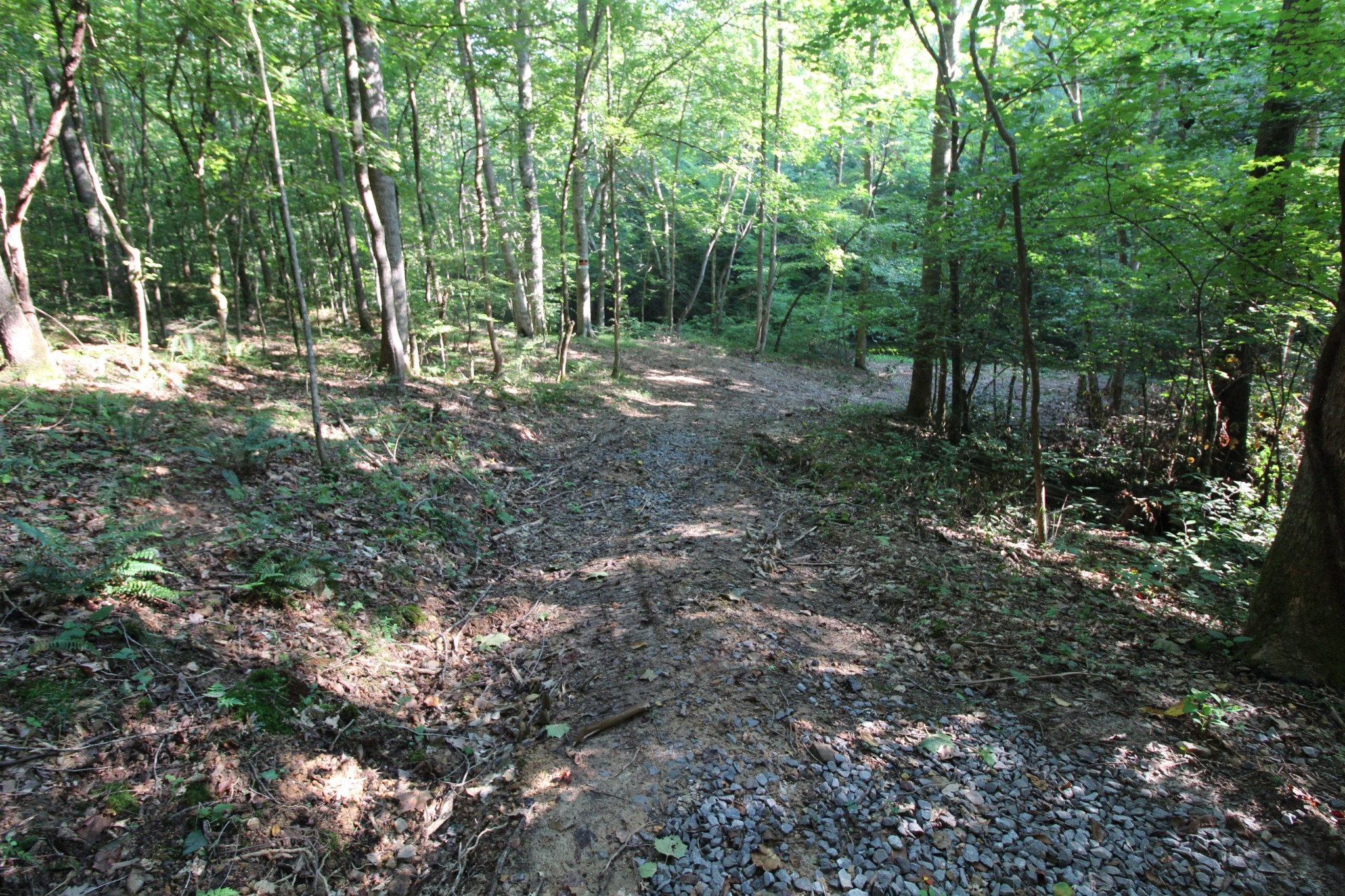 1 Bandy Road Ashland City, TN 37015 - Photo 16 of 84 a view of outdoor space with lots of trees