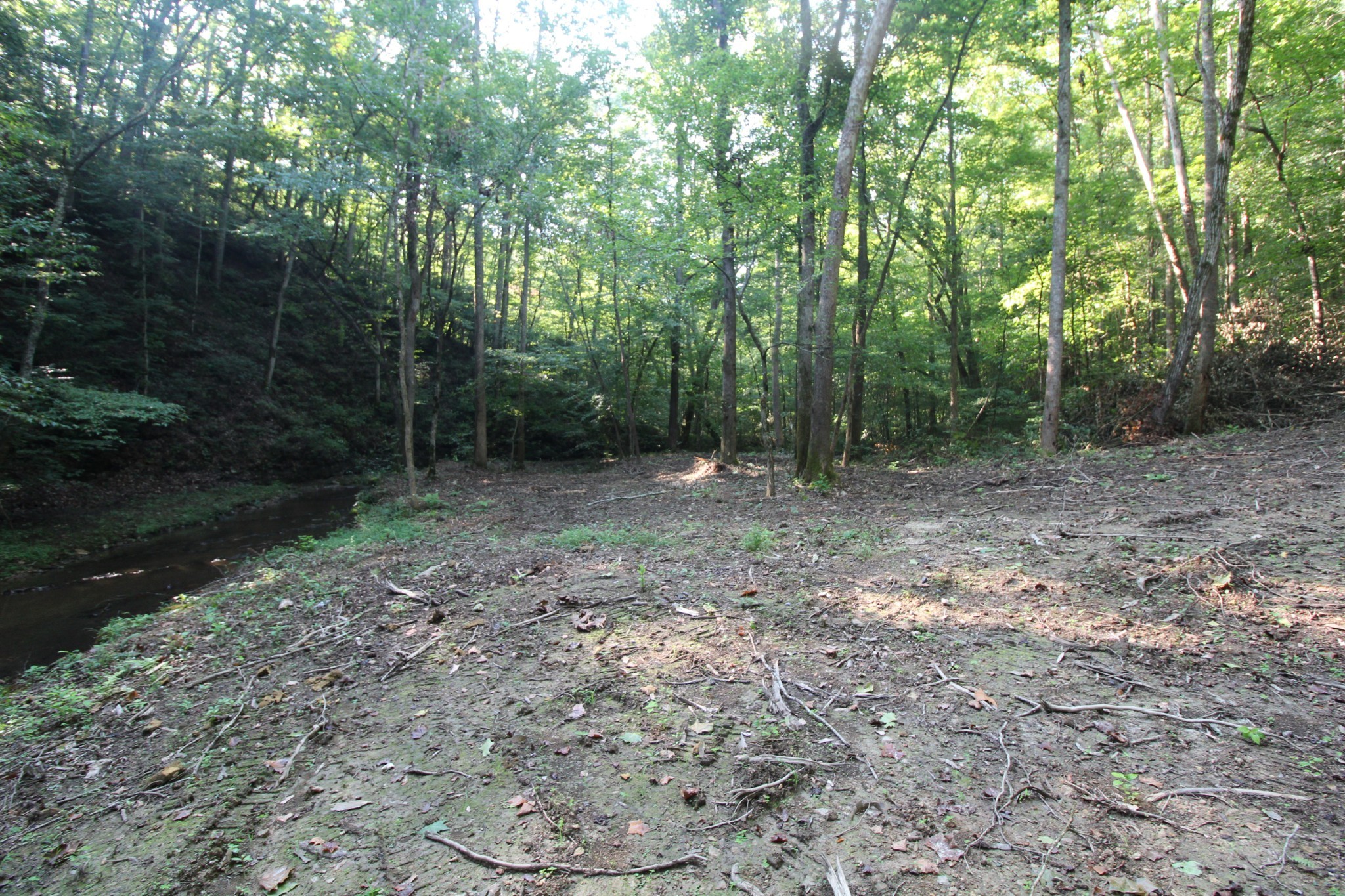 1 Bandy Road Ashland City, TN 37015 - Photo 19 of 84 a view of a forest with trees in the background