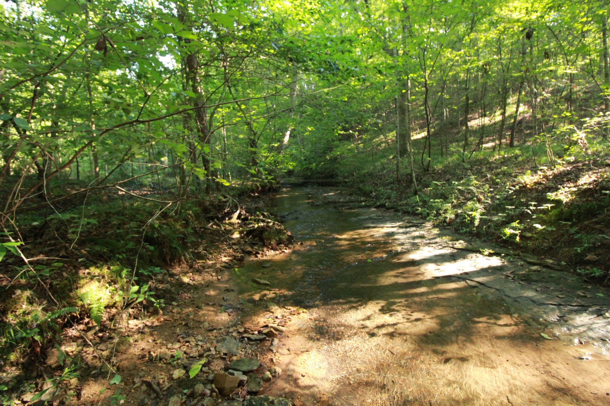 1 Bandy Road Ashland City, TN 37015 - Photo 27 of 84 a backyard of a house