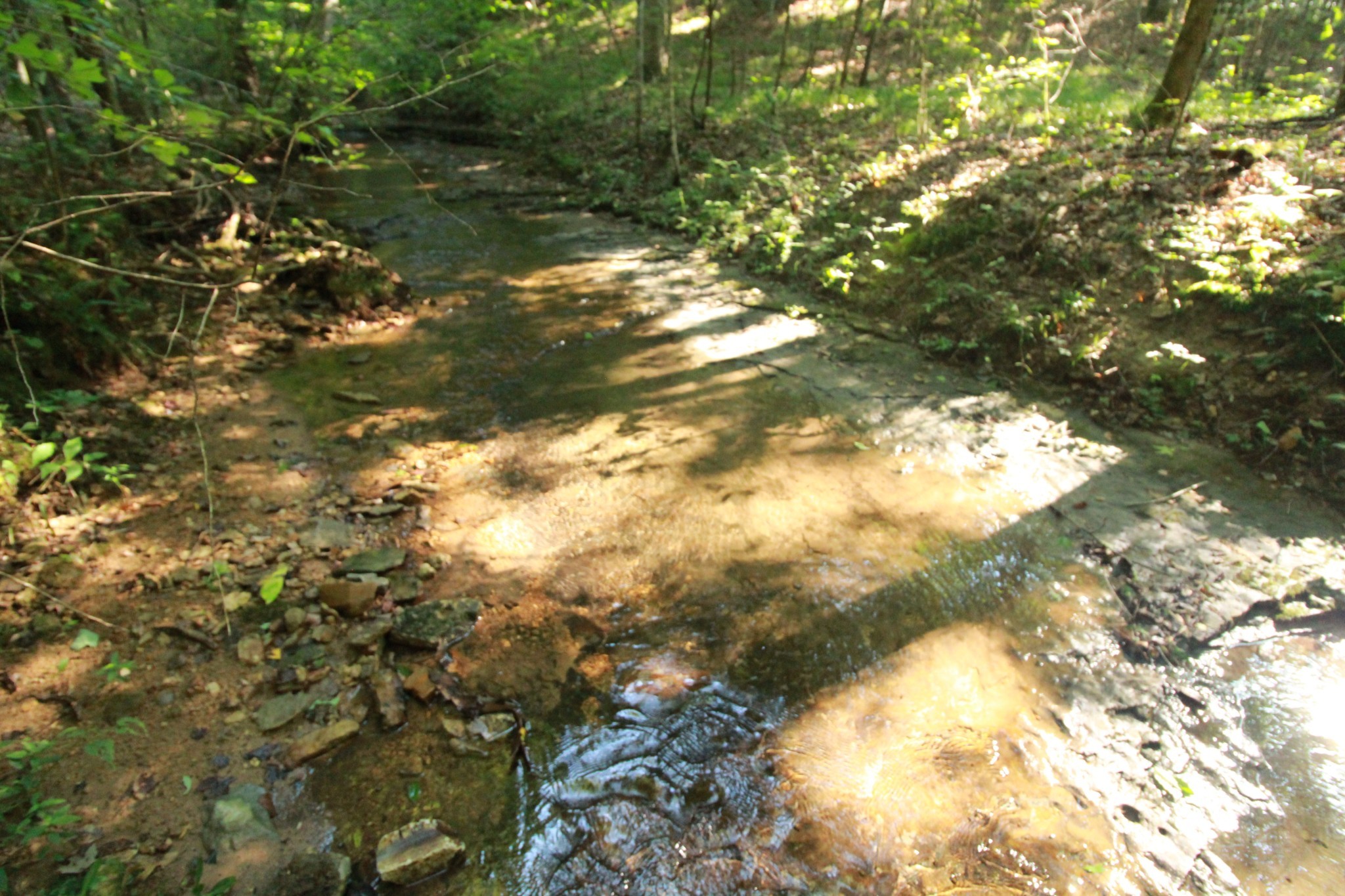 1 Bandy Road Ashland City, TN 37015 - Photo 30 of 84 a view of yard