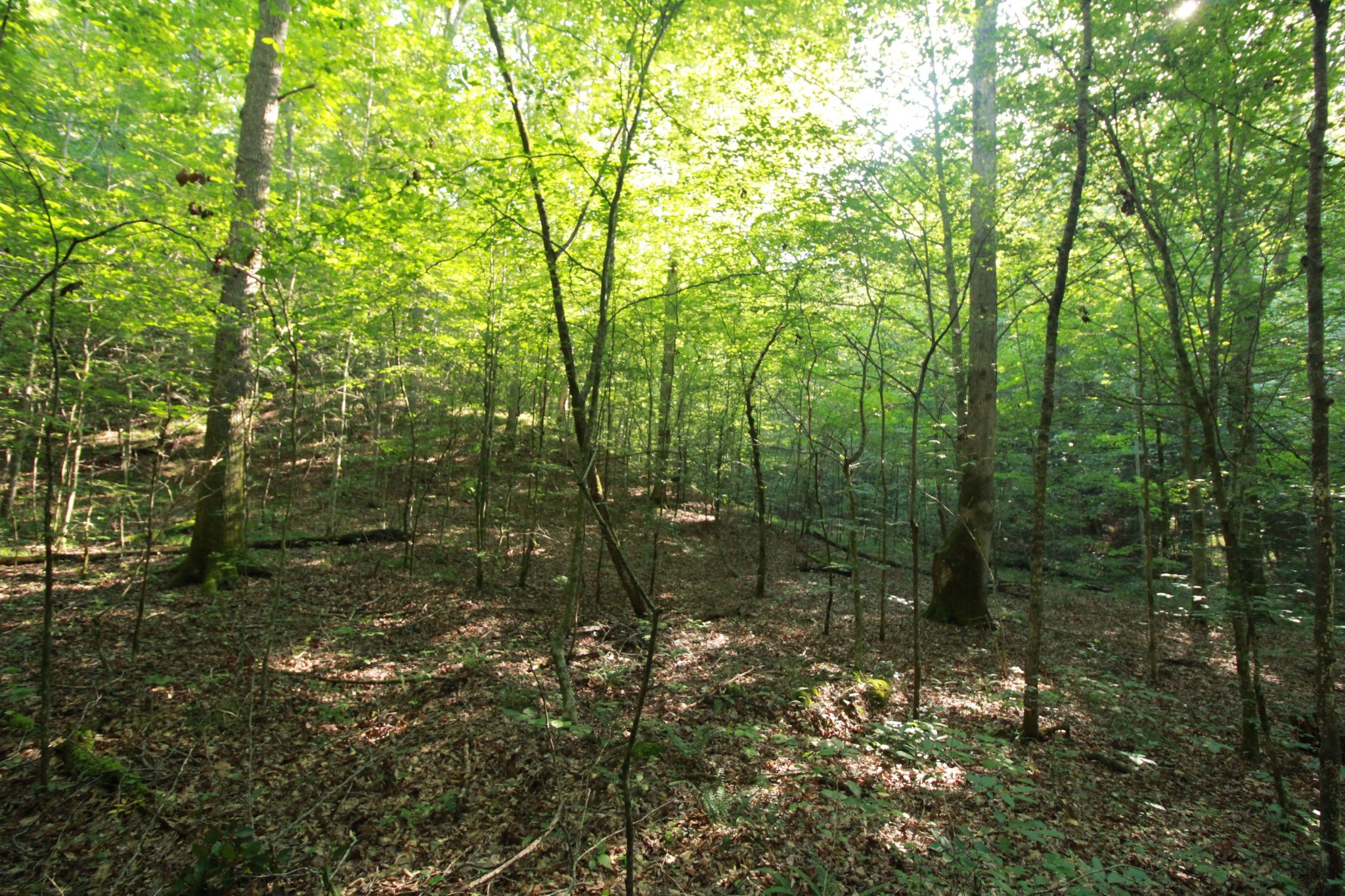 1 Bandy Road Ashland City, TN 37015 - Photo 31 of 84 a bathroom with a small yard