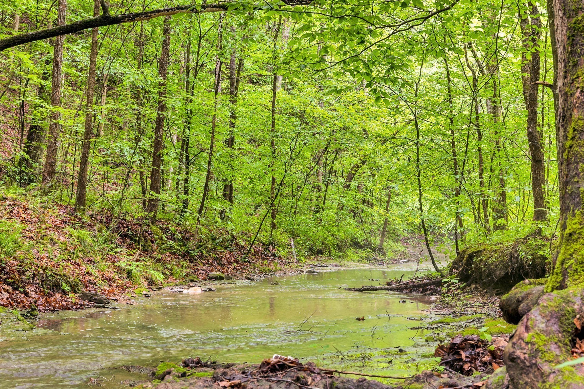 1 Bandy Road Ashland City, TN 37015 - Photo 33 of 84 a view of swimming pool from a yard