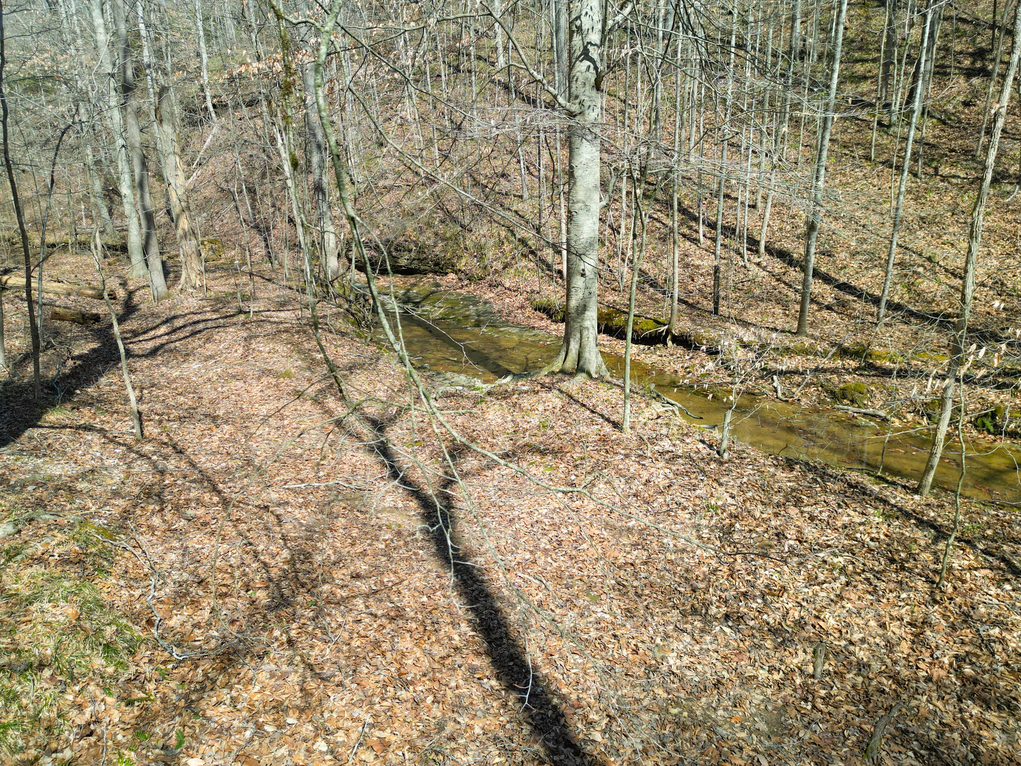 1 Bandy Road Ashland City, TN 37015 - Photo 37 of 84