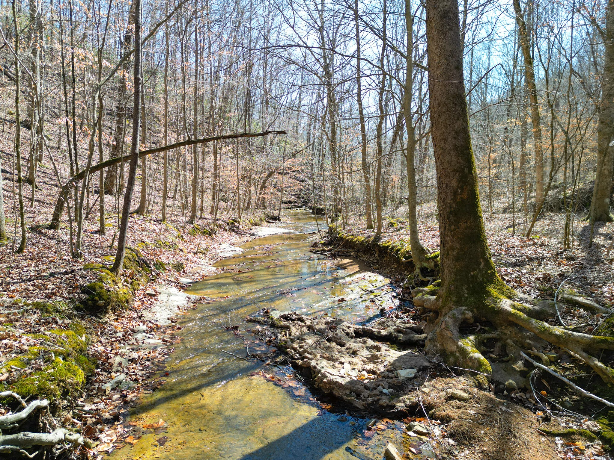 1 Bandy Road Ashland City, TN 37015 - Photo 38 of 84