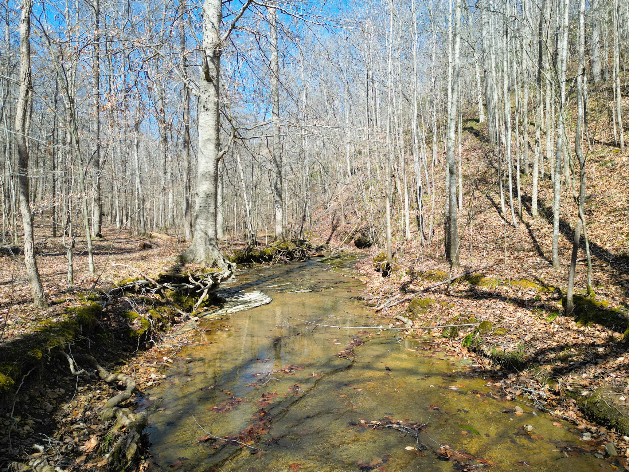 1 Bandy Road Ashland City, TN 37015 - Photo 39 of 84