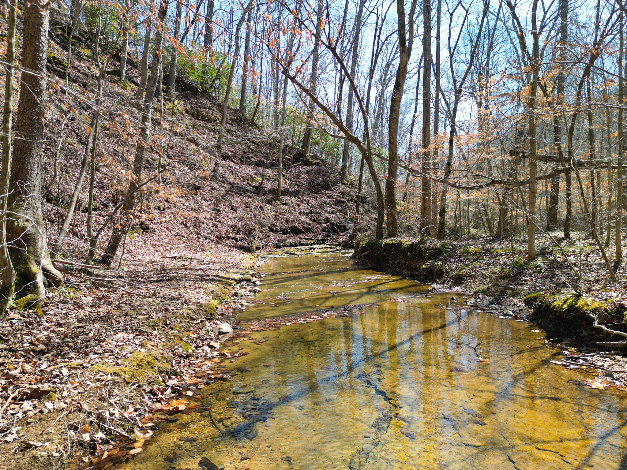 1 Bandy Road Ashland City, TN 37015 - Photo 41 of 84